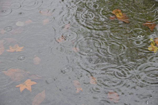 秋の長雨はポスティングの大敵